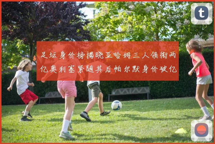 足坛身价榜揭晓亚哈姆三人领衔两亿奥利塞紧随其后帕尔默身价破亿