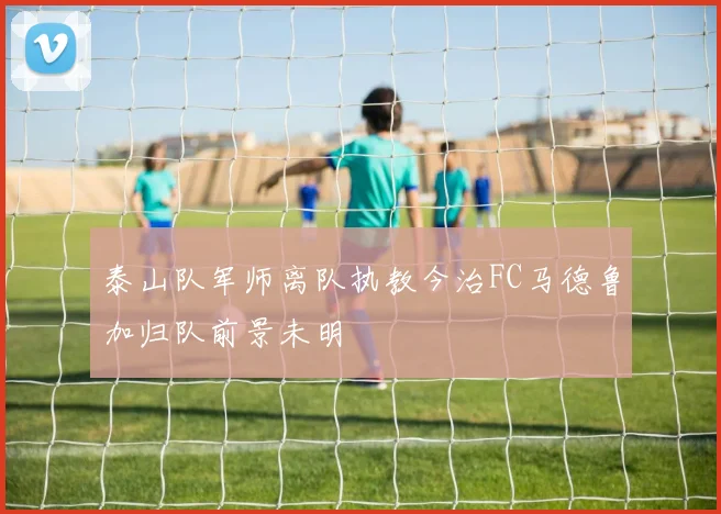 泰山队军师离队执教今治FC马德鲁加归队前景未明